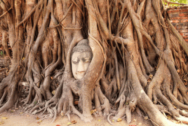 Kanchanaburi