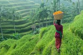 Descubrir Bali - Indonesia En 10 Días
