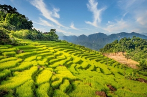 Los sitios principales de Vietnam 14 días – incluyendo el Puente Dorado