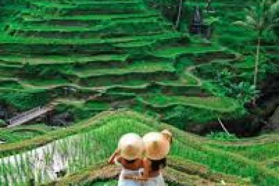 Descubrir Vietnam, Tailandia E Indonesia (Bali) En 14 Días