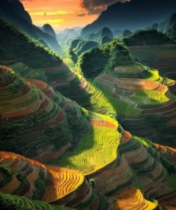 Vietnam